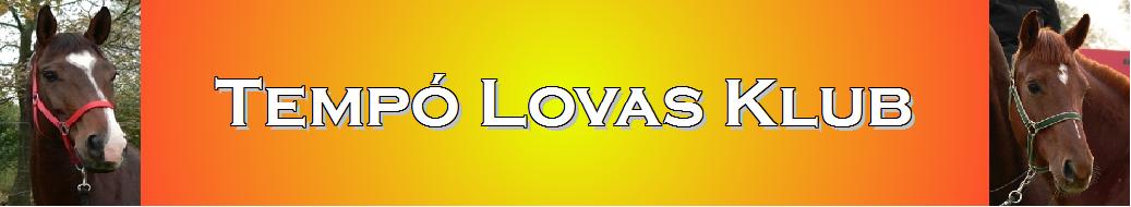 Temp Lovas Klub, Tatabnya